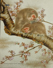 Catalog Bonhams  fine Japanese Art  9 13 2017 Coffee Table Literature Reference