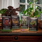 Magic  The Gathering Tcg  Bloomburrow Commander Deck Bundle - 4 Deck Set