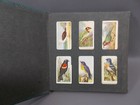 Cigarette Tobacco Cards Album With 60 Cards Rare One Sample Book Unique Museum