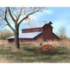 New Billy Jacobs Summer s End  8 x10  Canvas Print - Rustic Farmhouse