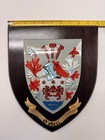 Vintage O neill Irish Family Crest Wall Plaque Coat Of Arms - Large 13  Shield