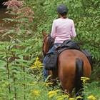 Dura-tech Cantle Bag With Insulated Detachable Saddle Bags   Various Colors