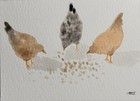 Original Aceo  Watercolor Painting  Chickens  Art Card  Mini  Birds