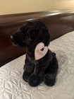 F a o Schwarz Plush Sparklers Black Lab Stuffed Animal New With Tags