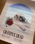 Grateful Dead 1981 European Tour Poster
