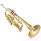 Bb Standard Trumpet  Brass Band Instrument B Flat Key W  Padded Case  Mouthpiece