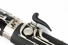 Synthetic Wood Advance Model Bassoon C Tone Sweet Tone With Case