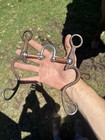 Jim Edward   s Correction Bit 5in Horse Tack