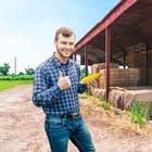 Realistic Corn Prop   Fake Corn   Artificial Corn   Corn Vegetable Replica      