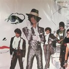 Vintage 1984 Prince Purple Rain Album Insert Poster   Poster Only
