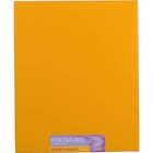 Kodak Portra 400 Color Negative Film  8x10   10 Sheets  Usa  1708205