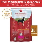 Purina One Chicken And Rice Formula Dry Dog Food 31 1 Lbs
