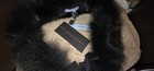    antonio Melani Real Fox Fur Stole Wrap Collar Black Ribbon Tie Nwt Orig Ret  89