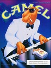 New Camel Cigarettes Poster Vintage Advertising Wall Art Custom
