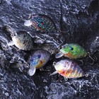 Multicolor Fishing Lure Shallow Diving Rattling Crankbait Hook Bass Bait Tackle