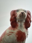Staffordshire Spaniel Dogoxblood Hand Painted Signed extra Cocker Spaniel Figure
