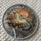 Vintage Apollo 13 Ex Luna Scientia Nasa Space Mission Embroidered Patch Nos 