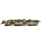 Avian X Topflight Green-winged Teal Duck  Floating Decoys  Set Of 18  Multicolor