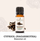 Nagarmotha  cypriol  Essential Oil 100  Pure  Natural  And Undiluted Diffuser