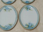 Hand Painted Lot Forget Me Nots Blue White Fine China Oval Plate Lot Dish 