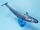 Bandai The Diversity Of Life On Earth Whale Figure Collection Blue Whale New Nip