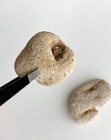 2 Holey Rocks Hag Stone Adder Pebble Wedged In Hole Natural Beach Fairy  ae Usa