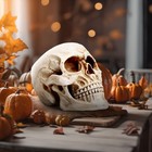 Resin Skull Human Head Model White Halloween Statue Home Decoration Bookshelf