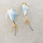 Parakeet Bird Feet Craft Oddity Curiosity Display Taxidermy Decor Gift Natural
