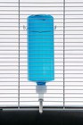 Happy Home Pet Products Small Animal Water Bottle  Blue  32oz 