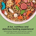 Kaytee Fiesta Rabbit Food  Nutritious And Fun Blend  Supports Dental Health And