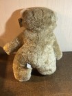 1982 Avanti Applause No 962 Teddy Bear Plush Vintage With Tag