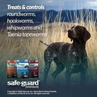 1 Box Contains 3 Bags  Canine Dewormer For Dogs  4gm Pouch