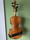Cecilio Cvn-500 Solidwood Ebony Fitted Violin W  D addario Prelude Strings  4 4-