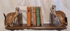 Vtg 2 Weasel Ermine Taxidermy Mounts On Wood Book Shelf W crowns Collectible