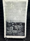 Vintage Photo African American Woman In Garden Snapshot Striped Top Summer 1950