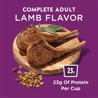 2p Purina Dog Chow Complete Dry Dog Food For Adult Dogs High Protein  Lamb  44lb