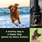 Buster s Organic Hemp Oil Large 60 Milliliters 2-pack For Dogs   Cats