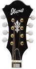 Ibanez F-style Mandolin  Model M522sbs Sunburst Finish  Flame Maple Body