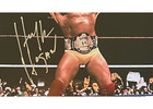 Hulk Hogan Signed Wwe Photo Framed 27x24 Jsa