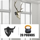 European Mount Skull Hanger  Heavy Duty Deer Skull Trophy Mount Hanger  Euro Dee