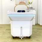 Backwash Shampoo Bowl Sink Beauty Spa Salon Equipment Station Unit Portable Us