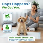 100 Pet Training Pads For Dogs Unscented Ultra-absorbent Puppy Underpads S-13x18