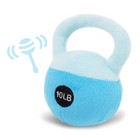 Infant Sensory Rattle Toy Ideal Grip Coordination Fine Motor Skills Baby Gift Us