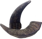 2-pack Natural Water Buffalo Horn Dog Chews - High Protein  Long-lasting Treats