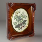 Antique Victorian Eastlake Walnut Deep Well Frame Tinted Butterfly Plate C  1860