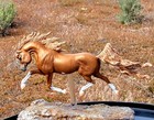 Arabian Horse Cast Resin Model Horse Classic Scale Unpainted Shahdeen By Brander