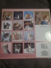 9 Lot Pack 2026 Kittens 12-month Wall Calendar - 12  X 12    Cute Cats   Kitties