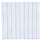 Aden   Anais Essentials  100  Muslin Cotton Swaddle Blanket  Male  4 Pack  Time