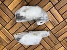 Ferrari F430 Fuel Lines Heat Shields Set
