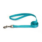 Set Of 10  Dog Leash  Nylon Bulk Lead Bluebird Blue  6 Foot 1  Wide  Zack   Zoey